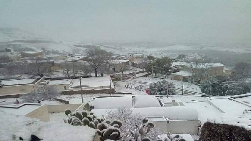 سليانة: تساقط كميات من الثلوج بمرتفعات معتمديتي مكثر وكسرى | جريدة الشروق  التونسية