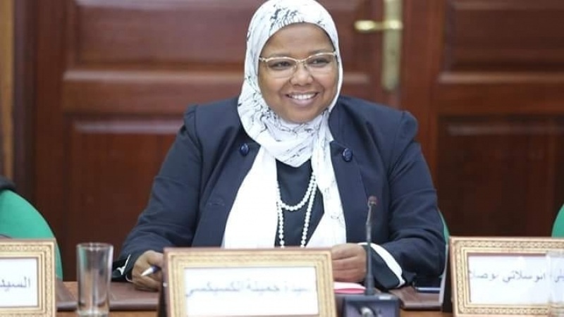 جميلة الكسيكسي تؤكد ان ''المتربصين البرلمانيين يتقاضون منحة رمزية للتنقل من  منظمة أجنبية'' | جريدة الشروق التونسية