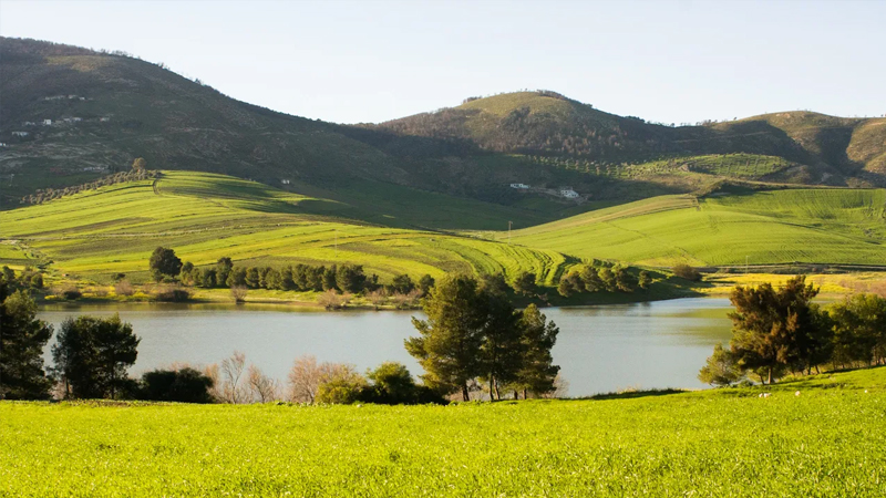 تونس المنسية..بحيرة بورويس بولاية باجة | جريدة الشروق التونسية