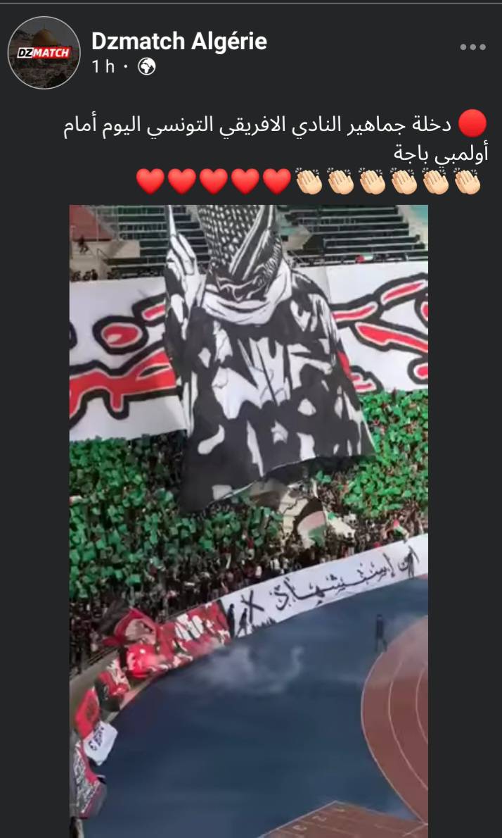 ca.tifo
