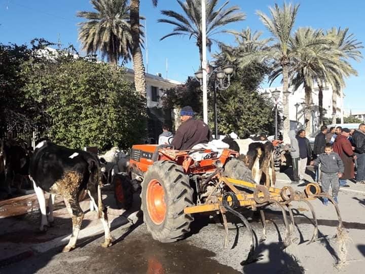 gafsa