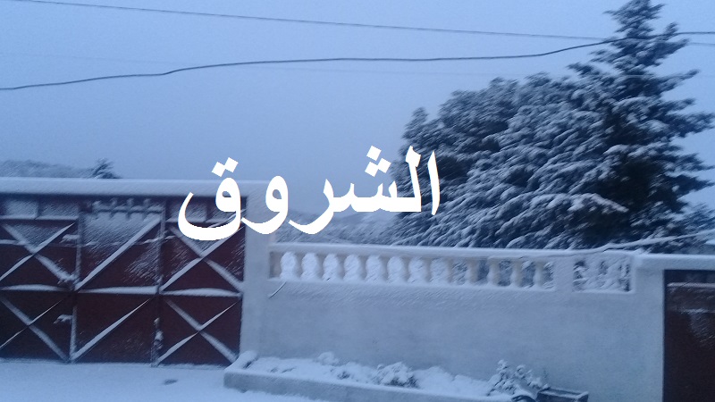 ساقية