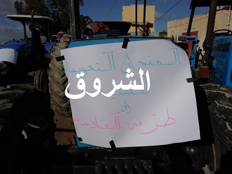 ففف