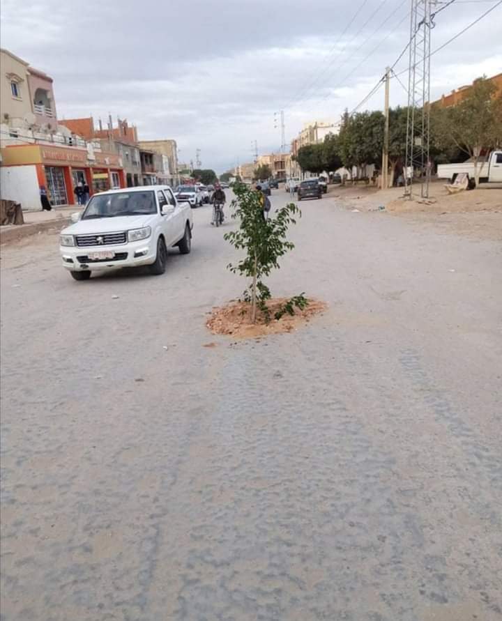 sdf