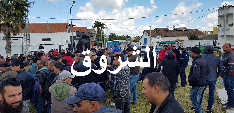 فيصل