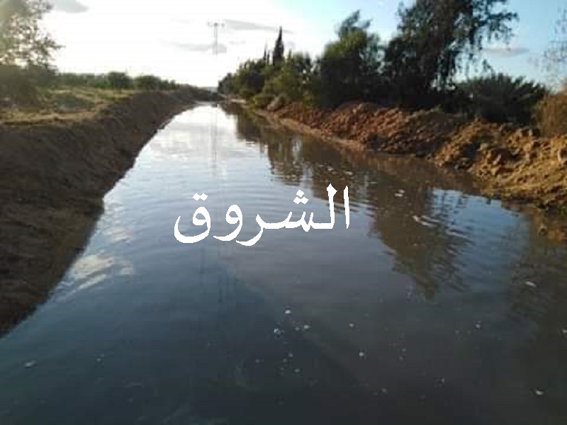 تبني