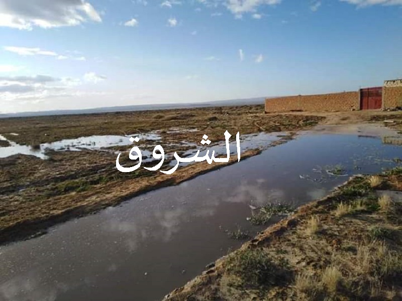 راجل