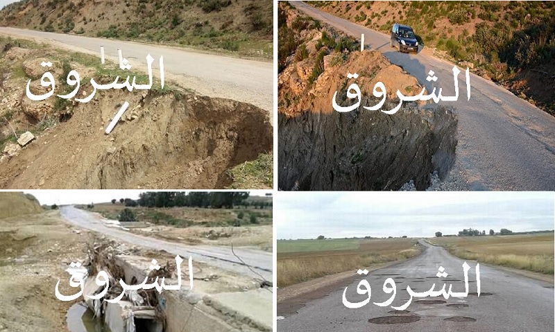 صور